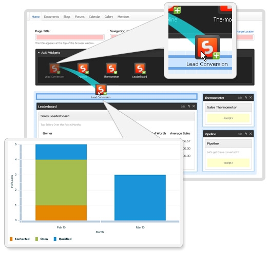 Screenshot - SFDC Widget Integration